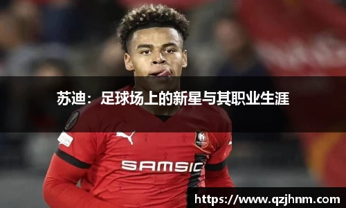 苏迪：足球场上的新星与其职业生涯